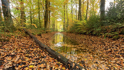 BUITEN BEELD Foto: 300968