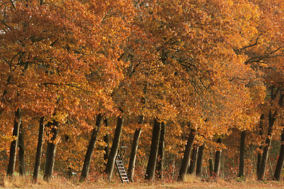 BUITEN BEELD Foto: 300970