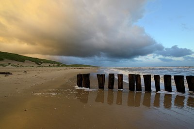 BUITEN BEELD Foto: 301010