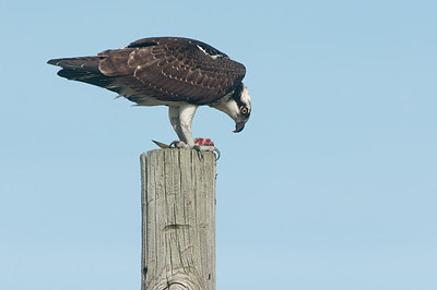 BUITEN BEELD Foto: 301033