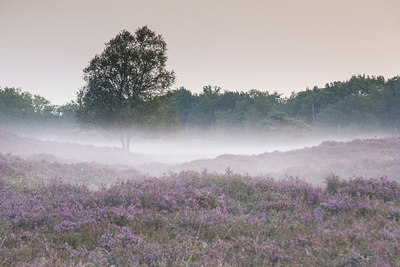 BUITEN BEELD Foto: 301036