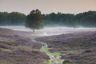 BUITEN BEELD Foto: 301037