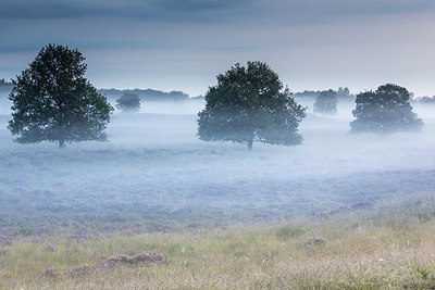 BUITEN BEELD Foto: 301049