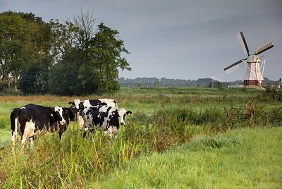 BUITEN BEELD Foto: 301051