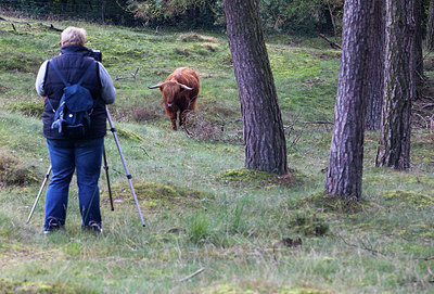 BUITEN BEELD Foto: 301053