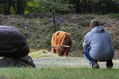 BUITEN BEELD Foto: 301057