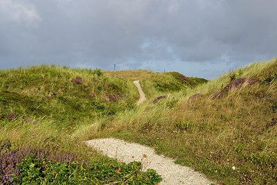 BUITEN BEELD Foto: 301077