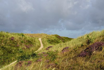 BUITEN BEELD Foto: 301078