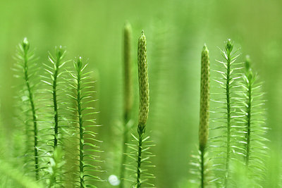 BUITEN BEELD Foto: 301142