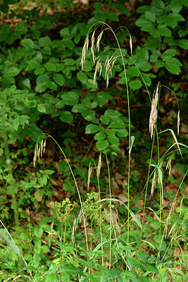 BUITEN BEELD Foto: 301189