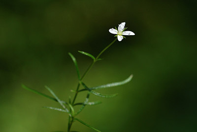 BUITEN BEELD Foto: 301261