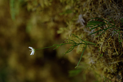 BUITEN BEELD Foto: 301317