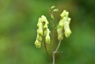 BUITEN BEELD Foto: 301320