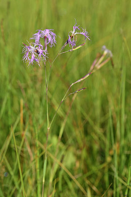 BUITEN BEELD Foto: 301353