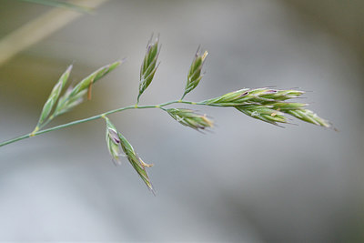 BUITEN BEELD Foto: 301396