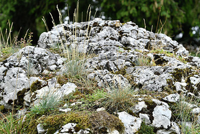 BUITEN BEELD Foto: 301397