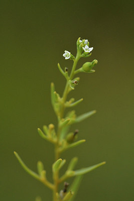 BUITEN BEELD Foto: 301399