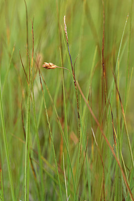 BUITEN BEELD Foto: 301408