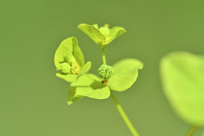 BUITEN BEELD Foto: 301416