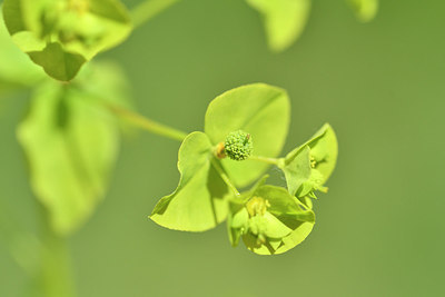 BUITEN BEELD Foto: 301417
