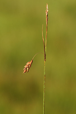 BUITEN BEELD Foto: 301429