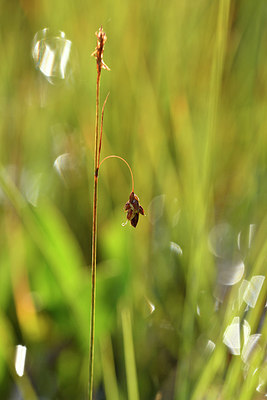 BUITEN BEELD Foto: 301435