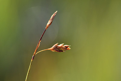 BUITEN BEELD Foto: 301438