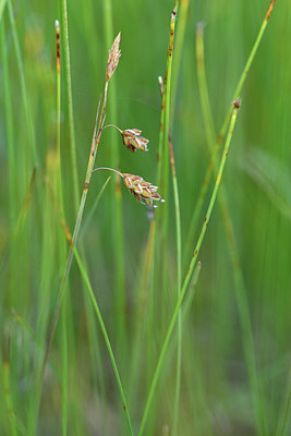 BUITEN BEELD Foto: 301440