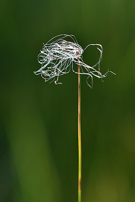 BUITEN BEELD Foto: 301448