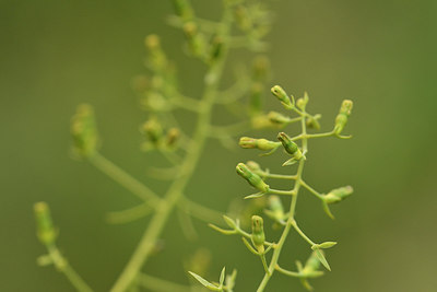 BUITEN BEELD Foto: 301464