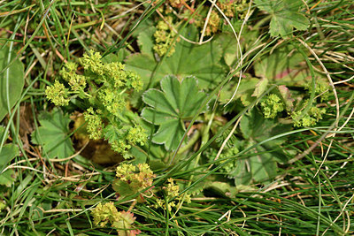 BUITEN BEELD Foto: 301465