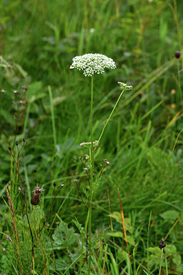 BUITEN BEELD Foto: 301490
