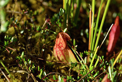 BUITEN BEELD Foto: 301532