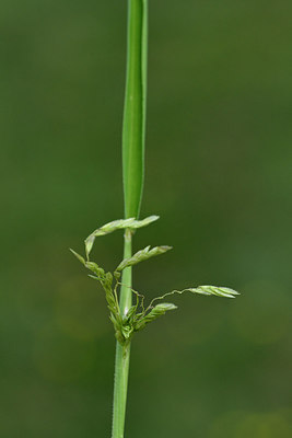 BUITEN BEELD Foto: 301566