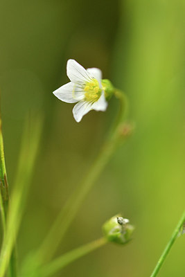 BUITEN BEELD Foto: 301624