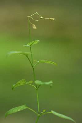 BUITEN BEELD Foto: 301679