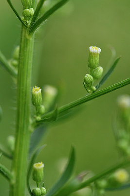 BUITEN BEELD Foto: 301694