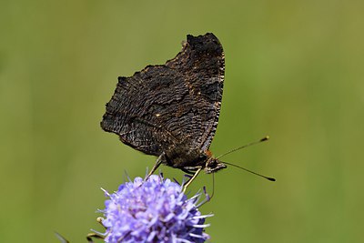 BUITEN BEELD Foto: 301721