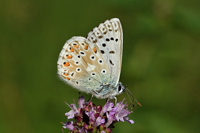 BUITEN BEELD Foto: 301801