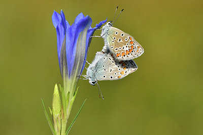 BUITEN BEELD Foto: 301845