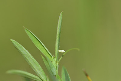BUITEN BEELD Foto: 301873