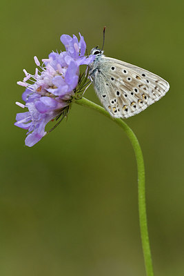 BUITEN BEELD Foto: 301891