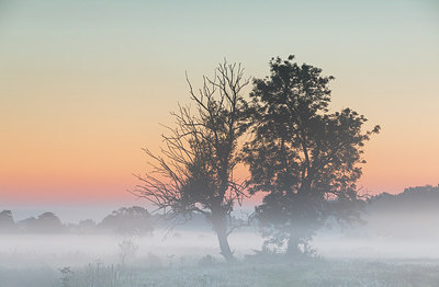 BUITEN BEELD Foto: 301920