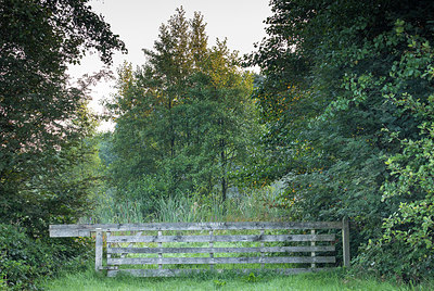 BUITEN BEELD Foto: 301926