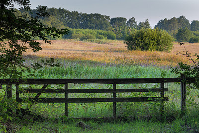 BUITEN BEELD Foto: 301927