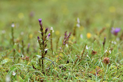 BUITEN BEELD Foto: 302001