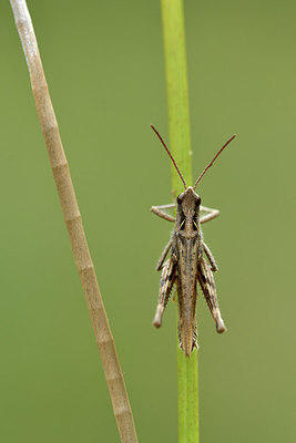 BUITEN BEELD Foto: 302062