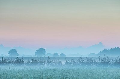 BUITEN BEELD Foto: 302067