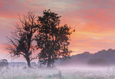 BUITEN BEELD Foto: 302071