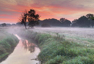 BUITEN BEELD Foto: 302072